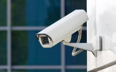 Big Brother or Best Buddy? The Great Workplace Camera Debate